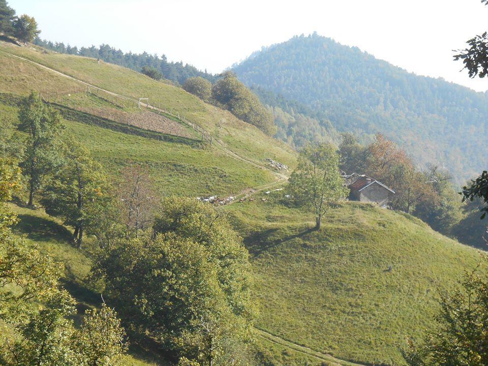 Agriturismo Fiorendo Пинероло Экстерьер фото