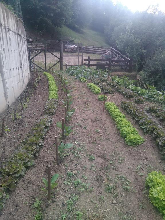 Agriturismo Fiorendo Пинероло Экстерьер фото
