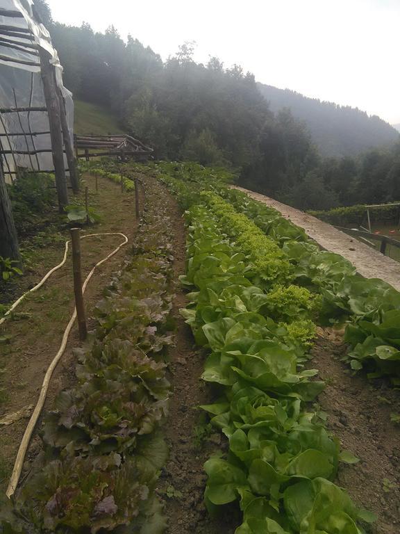 Agriturismo Fiorendo Пинероло Экстерьер фото